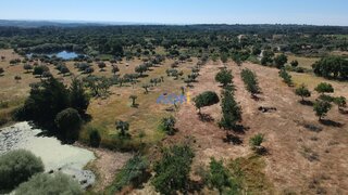 Terreno de 192 750 m² em Castelo Branco