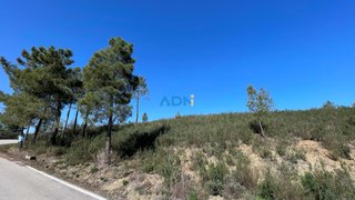 Terreno de 6440 m² em Castelo Branco