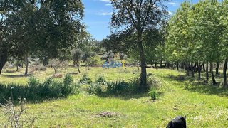 Land for sale in Penamacor, Portugal — €32,500