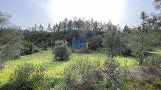 Terreno de 17 080 m² em Castelo Branco