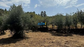 Land for sale in Sertã, Portugal — €12,500