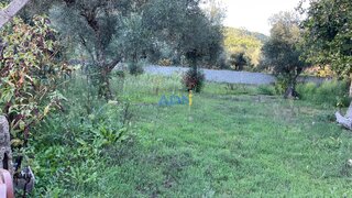 Terreno de 1200 m² em Castelo Branco
