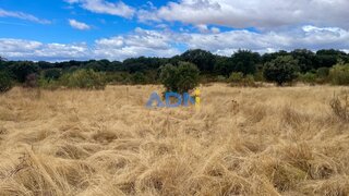 Land for sale in Idanha-a-Nova, Portugal — €30,000