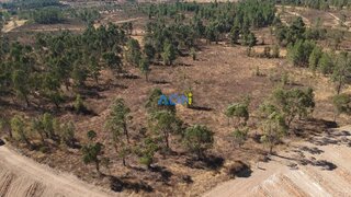 Terreno de 9000 m² em Castelo Branco