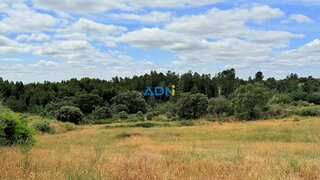 Terreno de 15 000 m² em Castelo Branco