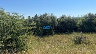 Land for sale in Castelo Branco, Portugal — €21,000
