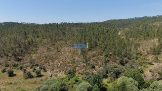 Terreno em Castelo Branco · 11 440 m² · 15 000 €