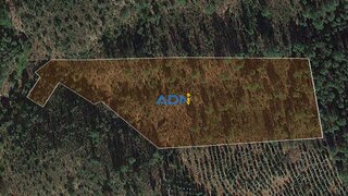 Terreno de 10 080 m² em Castelo Branco