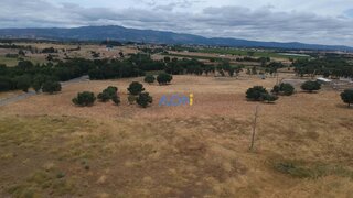 Terreno de 362 420 m² em Castelo Branco