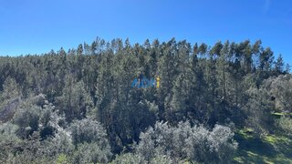 Terreno em Castelo Branco