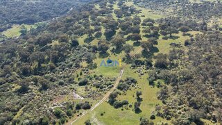 Terreno de 15 250 m² em Castelo Branco