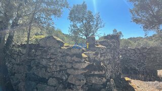 Terreno em Almeida