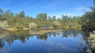 Terreno em Castelo Branco · 43 875 m² · 30 000 €