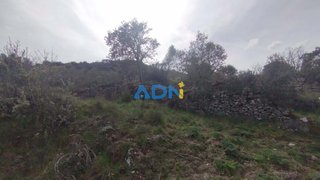 Terreno em Pinhel