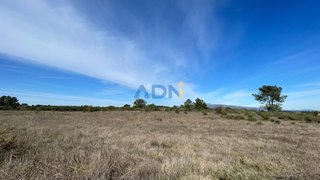 Terreno de 55 500 m² em Castelo Branco