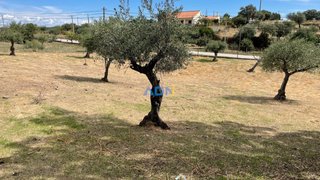 Land for sale in Idanha-a-Nova, Portugal — €25,000