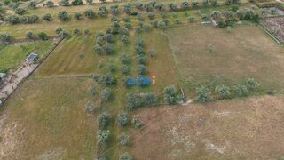 Terreno de 1000 m² em Castelo Branco