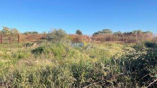 Land for sale in Castelo Branco, Portugal — €51,500