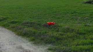 Land for sale in Montijo, Portugal — €165,000