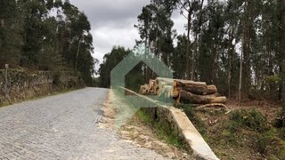 Land for sale in Barcelos, Portugal