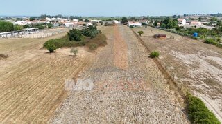 Land for sale in Alpiarça, Portugal — €59,000