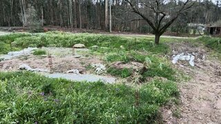 Land for sale in Santa Comba Dão, Portugal — €24,900