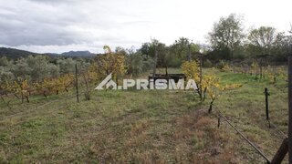 Land for sale in Penamacor, Portugal — €31,500