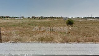 Terreno de 489 m² em Castelo Branco