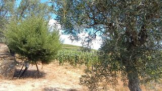 Land for sale in Peso da Régua, Portugal — €55,000
