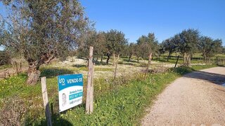 Land for sale in Ponte de Sor, Portugal — €40,000