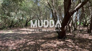 Land for sale in Murtosa, Portugal — €11,000