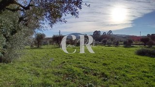 Land for sale in Figueiró dos Vinhos, Portugal — €44,900