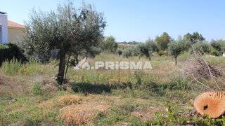 Terreno de 7813 m² em Castelo Branco