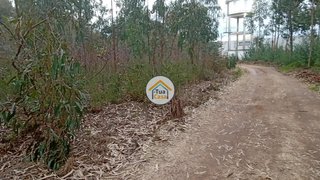 Land for sale in Águeda, Portugal — €130,000