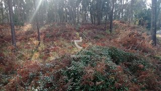 Land for sale in Vila Nova de Cerveira, Portugal — €56,000