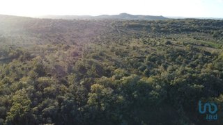 Land for sale in Ferreira do Zêzere, Portugal — €4,700