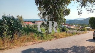 Land for sale in Figueiró dos Vinhos, Portugal — €40,000