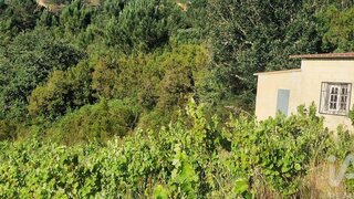 Land for sale in Mafra, Portugal — €240,000