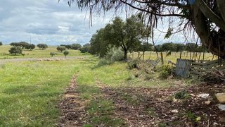 Land for sale in Alter do Chão, Portugal — €39,000