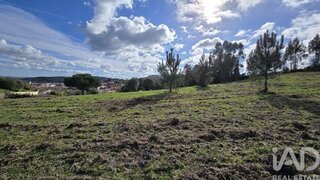 Land for sale in Cadaval, Portugal — €55,000