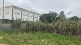 Land for sale in Cartaxo, Portugal — €195,000