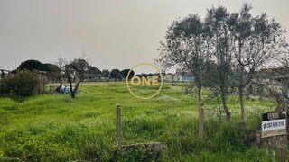 Terreno em Salvaterra de Magos