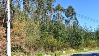 Land for sale in Vieira do Minho, Portugal — €39,000