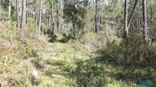 Land for sale in Ourém, Portugal — €9,900