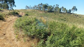 Land for sale in Fafe, Portugal — €25,000