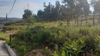 Land for sale in Pedrógão Grande, Portugal — €11,000