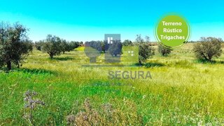 Terreno de 25 000 m² em Beja