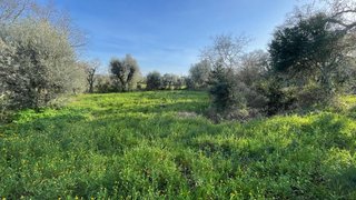 Land for sale in Ferreira do Zêzere, Portugal — €27,000