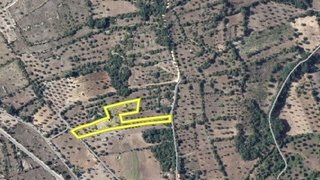 Land for sale in Ferreira do Zêzere, Portugal — €15,750