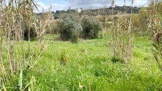 Land for sale in Rio Maior, Portugal — €39,990